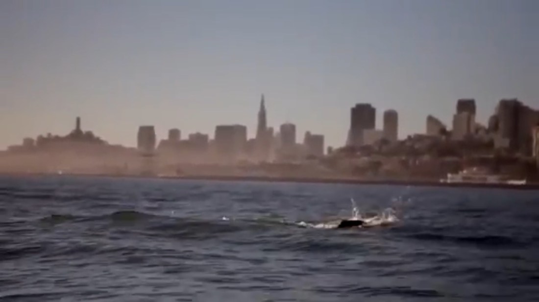 8FF0BAC3-D7D1-4C5E-8974-DFCB6BF7E5CF